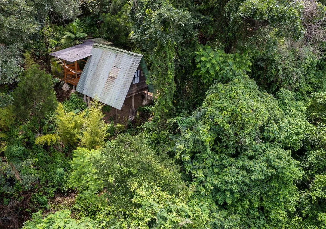 Hotel Earth Lodge Antigua