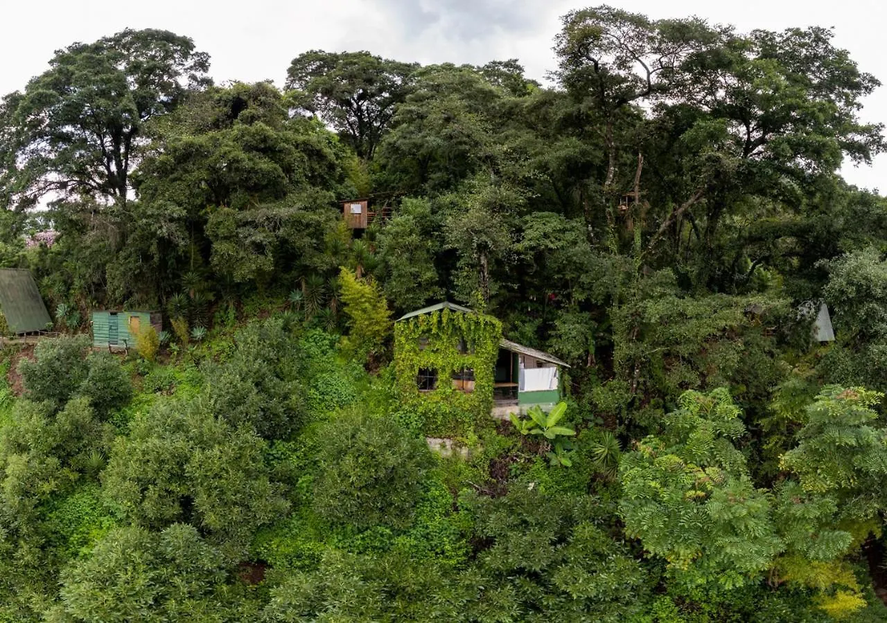 Hotel Earth Lodge Antigua