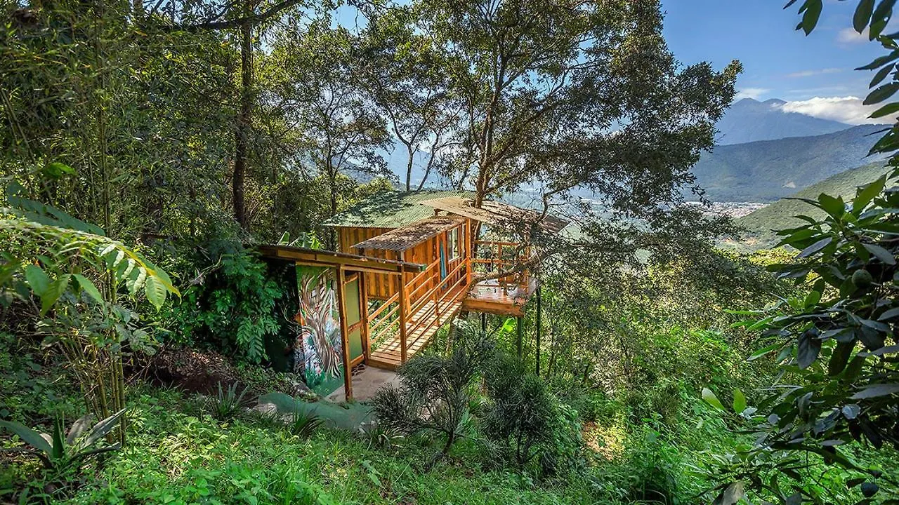 Earth Lodge Antigua Hotel