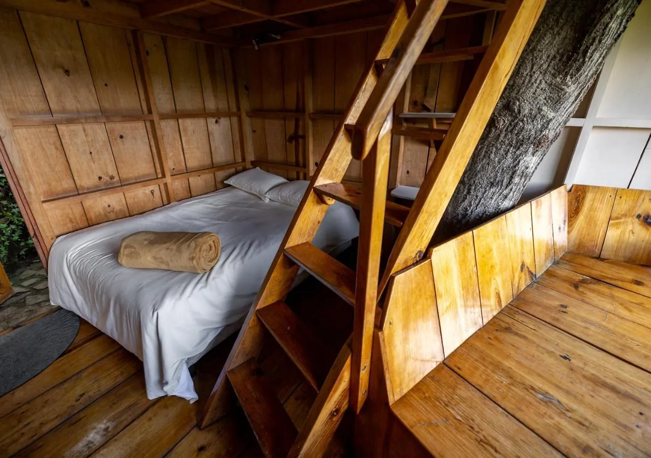Hotel Earth Lodge Antigua